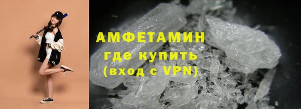 прущие грибы Осташков
