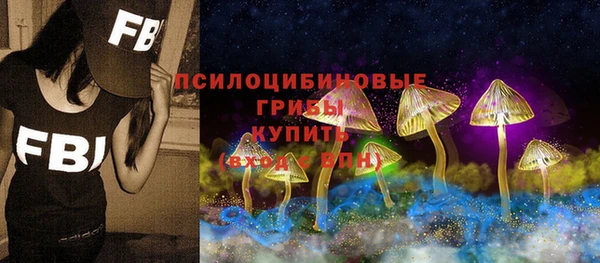 дживик Осинники