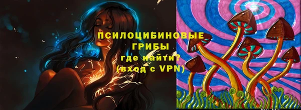 прущие грибы Осташков