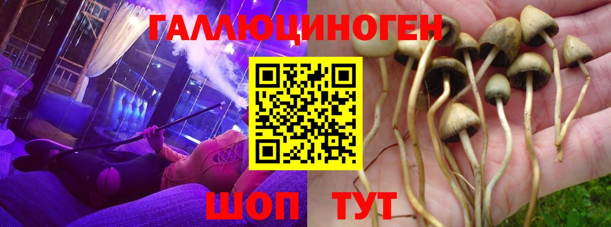 Воронеж  Псилоцибиновые грибы Cubensis  Вход с VPN 