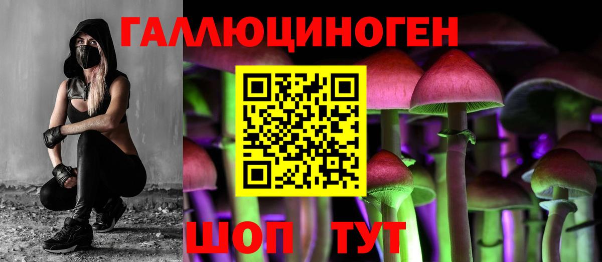 Галлюциногенные грибы Cubensis Воронеж